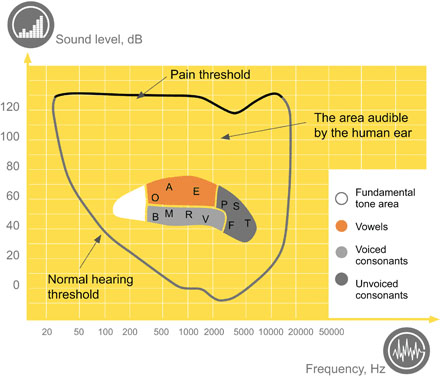 Normal hearing