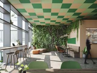 Room with suspended acoustic ceiling in three different colours