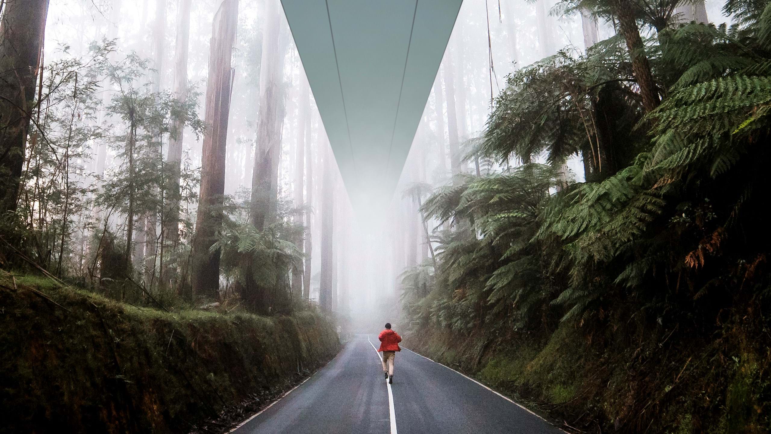 Acoustic ceiling in forest environment