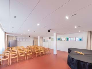 Acoustic ceiling in music room