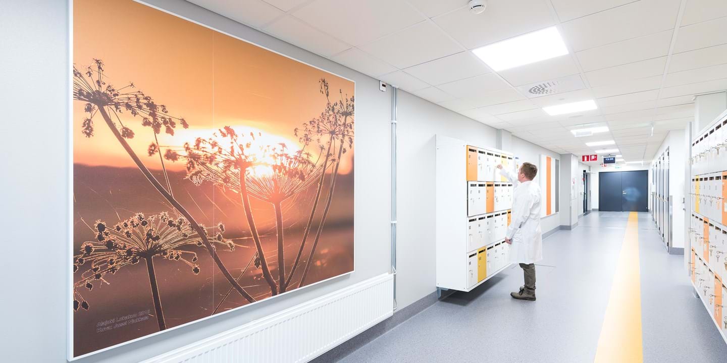 Nature-themed, printed acoustic wall panels in hospital corridor