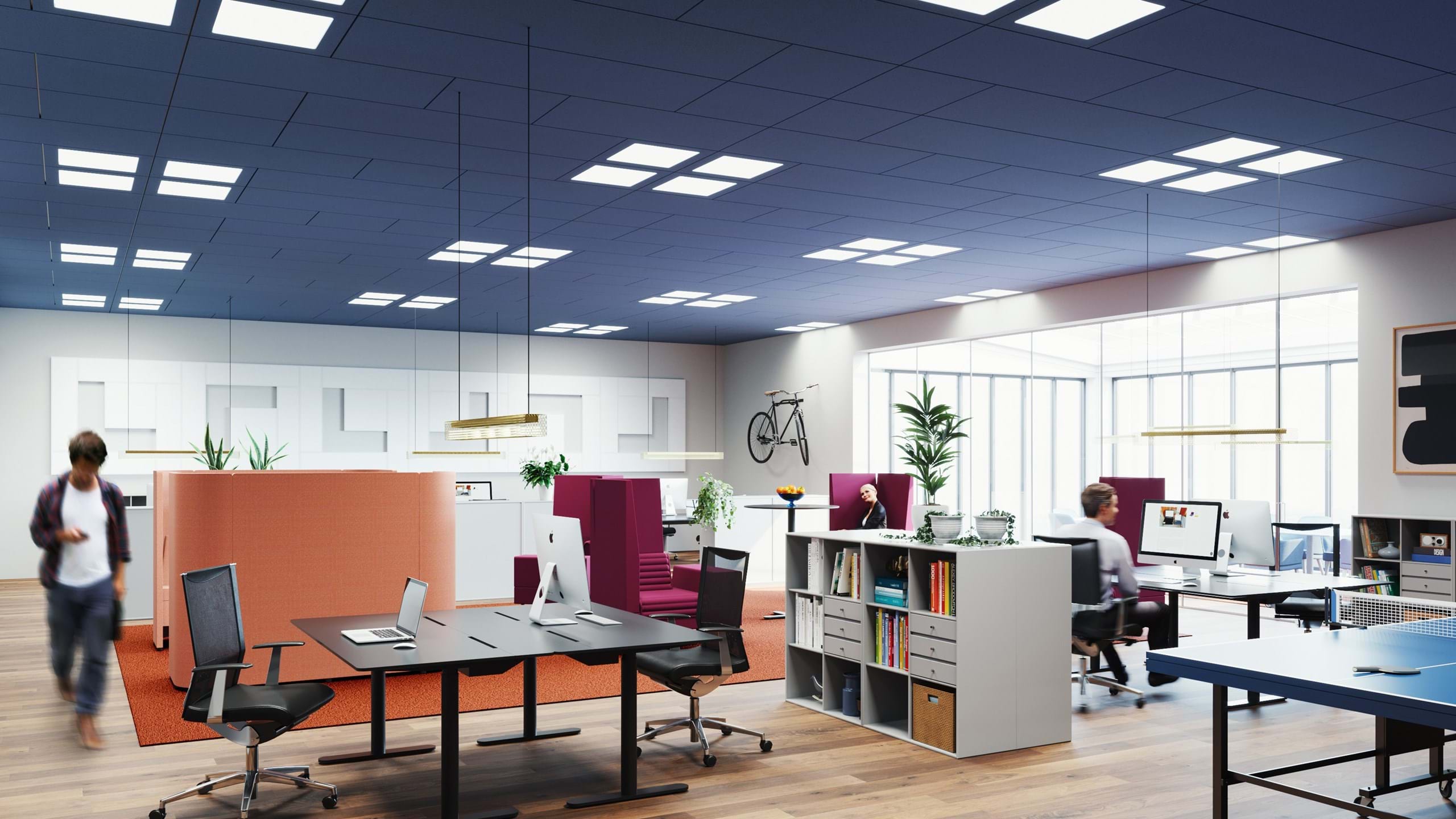Open plan office with blue suspended acoustic ceiling