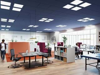 Open plan office with blue suspended acoustic ceiling