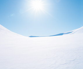 Light reflectance on newly fallen snow