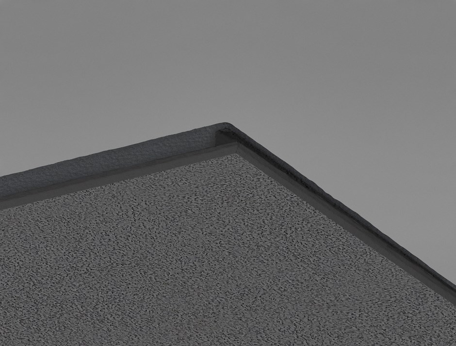 Hygiene Black Ds plade