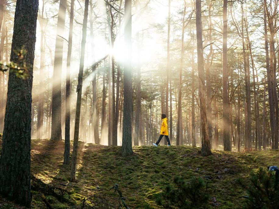 Man walking in forest