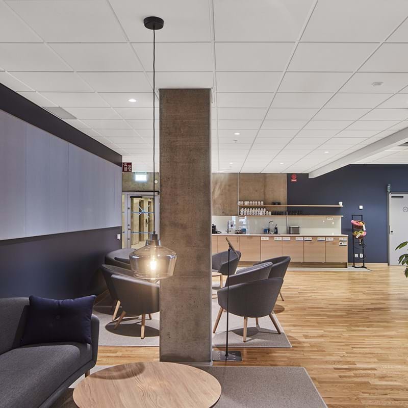 Moderne Bürolounge mit Holzfußboden, dunkelblauen Wänden, grauen Sofas, Sesseln, runden Tischen und einer Küchenzeile im Hintergrund. Deckenleuchten und Topfpflanzen ergänzen die Einrichtung.