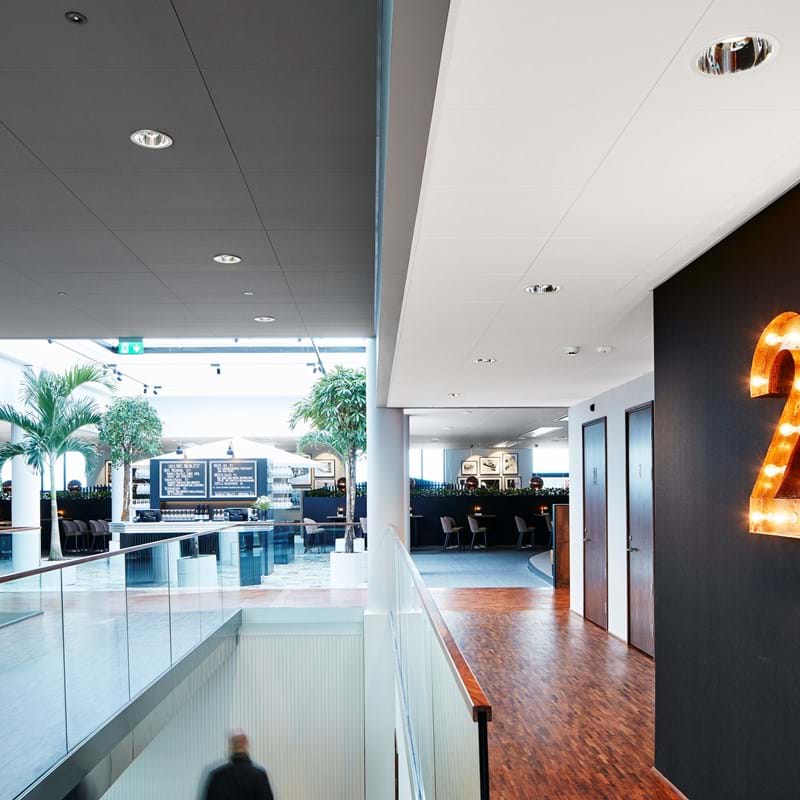 Balti un pelēki piekaramie akustiskie griesti pie ieejas biroja restorānā ar lieliem augiem