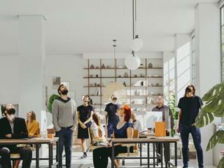 Suspended acoustic ceiling in spacious and modern open-plan office with big windows, plants, wooden furniture and people looking up to the ceiling