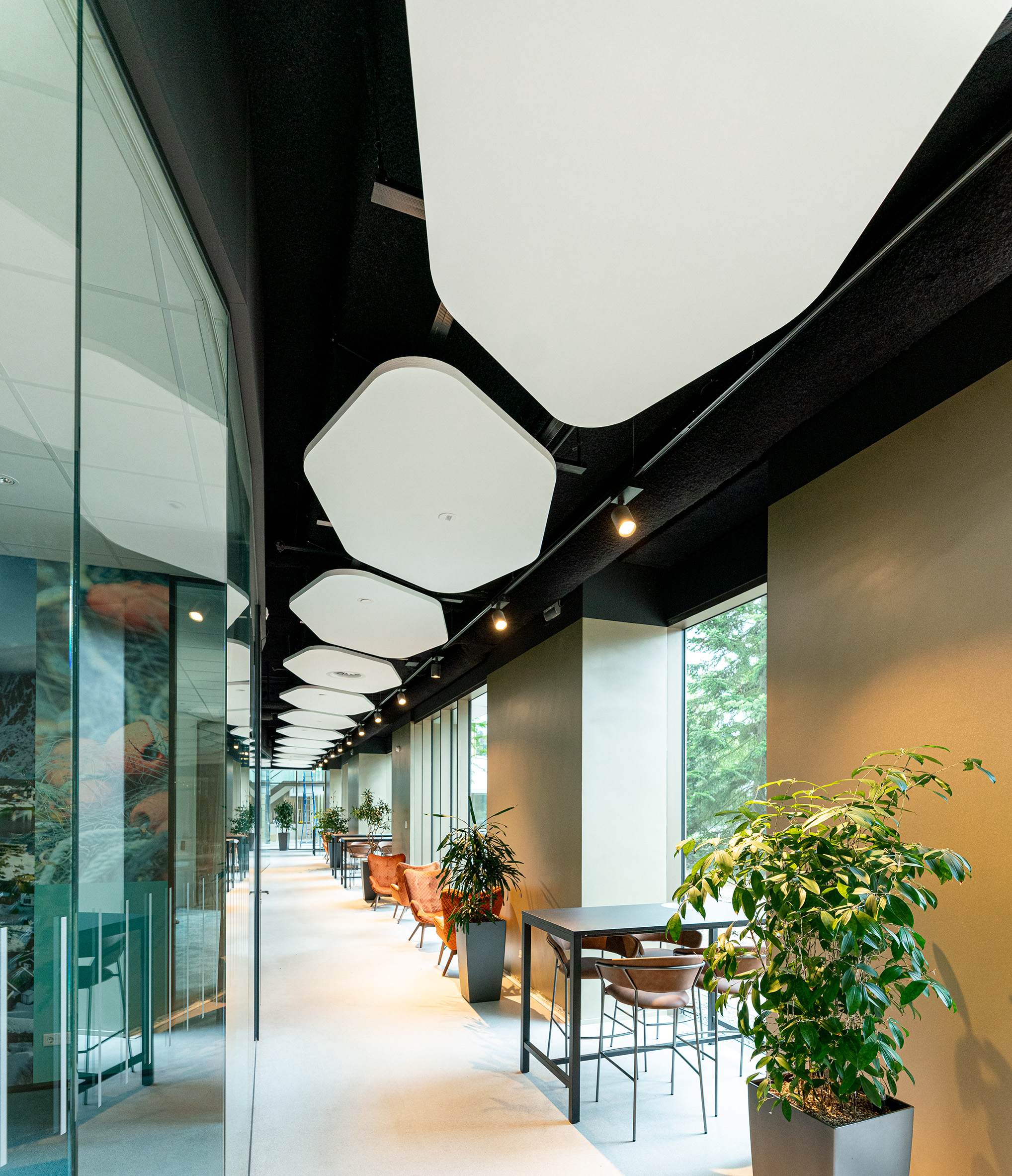 Free-hanging acoustic panels in office corridor